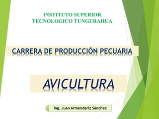 AVICULTURA
Ing. Juan Armendariz Sánchez
INSTITUTO SUPERIOR
TECNOLOGICO TUNGURAHUA
 
