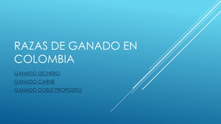 RAZAS DE GANADO EN
COLOMBIA
GANADO LECHERO
GANADO CARNE
GANADO DOBLE PROPOSITO
 