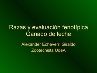 Razas y evaluación fenotípica Ganado de leche Alexander Echeverri Giraldo Zootecnista UdeA 