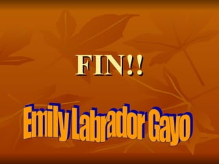 FIN!! Emily Labrador Gayo 
