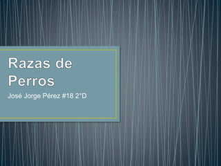 José Jorge Pérez #18 2°D 
 
