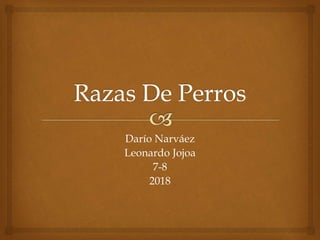 Darío Narváez
Leonardo Jojoa
7-8
2018
 