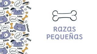 Razas
PEQUEÑas
 