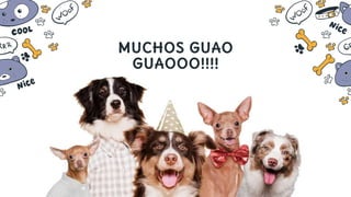 MUCHOS GUAO
GUAOOO!!!!
 