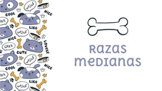 Razas
medianas
 