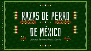 Leonardo Jerónimo Bautista Carrillo
Razas de perro
de México
 