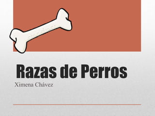 Razas de Perros 
Ximena Chávez 
 