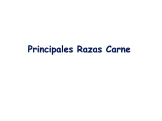 Principales Razas Carne
 