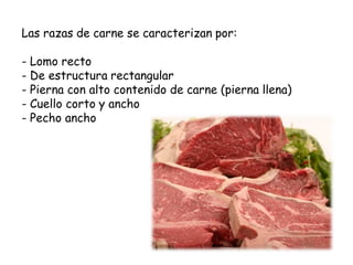 Las razas de carne se caracterizan por:
- Lomo recto
- De estructura rectangular
- Pierna con alto contenido de carne (pierna llena)
- Cuello corto y ancho
- Pecho ancho
 
