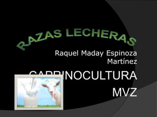 Raquel Maday Espinoza
Martínez
CAPRINOCULTURA
MVZ
 