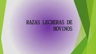 RAZAS LECHERAS DE
BOVINOS
 
