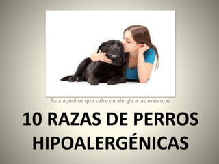 10 RAZAS DE PERROS
HIPOALERGÉNICAS
Para aquellos que sufre de alergia a las mascotas
 