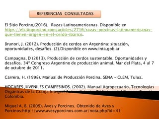 REFERENCIAS CONSULTADAS
El Sitio Porcino,(2016). Razas Latinoamericanas. Disponible en
https://elsitioporcino.com/articles/2716/razas-porcinas-latinoamericanas-
que-tienen-origen-en-el-cerdo-ibarico.
Brunori, J. (2012). Producción de cerdos en Argentina: situación,
oportunidades, desafíos. (2).Disponible en www.inta.gob.ar
Campagna, D (2013). Producción de cerdos sustentable. Oportunidades y
desafíos. 34º Congreso Argentino de producción animal. Mar del Plata, 4 al 7
de octubre de 2011.
Carrero, H. (1998). Manual de Producción Porcina. SENA – CLEM, Tulua.
HOGARES JUVENILES CAMPESINOS. (2002). Manual Agropecuario. Tecnologías
Orgánicas de la Granja Integral Autosuficiente. Biblioteca del Campo. Bogotá.
Colombia.
Miguel A, B. (2009). Aves y Porcinos. Obtenido de Aves y
Porcinos:http://www.avesyporcinos.com.ar/nota.php?id=41
 