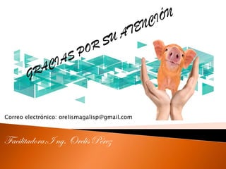 Correo electrónico: orelismagalisp@gmail.com
Facilitadora:I ng. Orelis Pérez
 