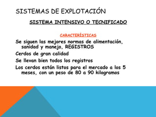 SISTEMAS DE EXPLOTACIÓN
SISTEMA INTENSIVO O TECNIFICADO
CARACTERÍSTICAS
Se siguen las mejores normas de alimentación,
sanidad y manejo, REGISTROS
Cerdos de gran calidad
Se llevan bien todos los registros
Los cerdos están listos para el mercado a los 5
meses, con un peso de 80 a 90 kilogramos
 