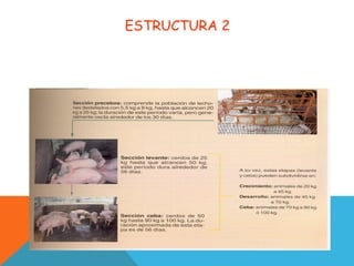 ESTRUCTURA 2
 