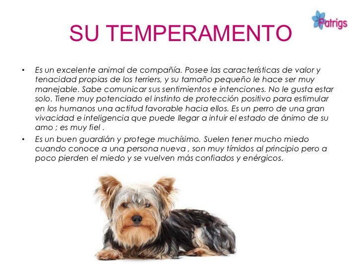Las recetas para el adelgazamiento de inny volovichevoy