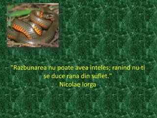 "Razbunarea nu poate avea inteles; ranind nu ti
se duce rana din suflet."
Nicolae Iorga
 
