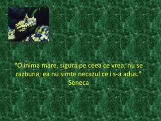 "O inima mare, sigura pe ceea ce vrea, nu se
razbuna; ea nu simte necazul ce i s-a adus."
Seneca
 