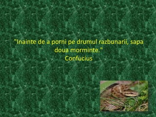 "Inainte de a porni pe drumul razbunarii, sapa
doua morminte."
Confucius
 
