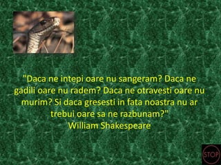"Daca ne intepi oare nu sangeram? Daca ne
gadili oare nu radem? Daca ne otravesti oare nu
murim? Si daca gresesti in fata noastra nu ar
trebui oare sa ne razbunam?"
William Shakespeare
 