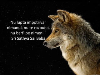 "Nu lupta impotriva
nimanui, nu te razbuna,
nu barfi pe nimeni."
Sri Sathya Sai Baba
 