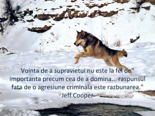 "Vointa de a supravietui nu este la fel de
importanta precum cea de a domina... raspunsul
fata de o agresiune criminala este razbunarea."
Jeff Cooper
 