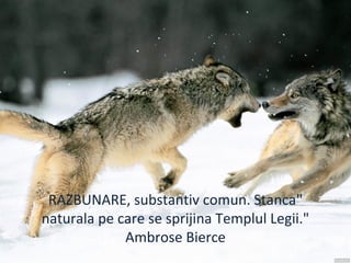 "RAZBUNARE, substantiv comun. Stanca
naturala pe care se sprijina Templul Legii."
Ambrose Bierce
 