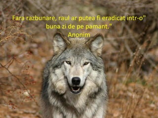 "Fara razbunare, raul ar putea fi eradicat intr-o
buna zi de pe pamant."
Anonim
 