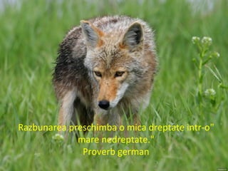 "Razbunarea preschimba o mica dreptate intr-o
mare nedreptate."
Proverb german
 