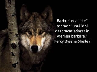 "Razbunarea este
asemeni unui idol
dezbracat adorat in
vremea barbara."
Percy Bysshe Shelley
 