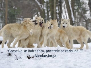 "Greselile se indreapta, pacatele se razbuna."
Nicolae Iorga
 