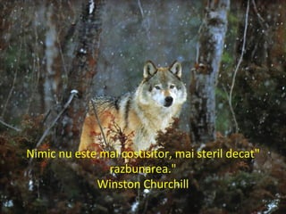 "Nimic nu este mai costisitor, mai steril decat
razbunarea."
Winston Churchill
 