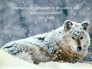 "Intarzierea in razbunare iti aduce o si mai
puternica lovitura."
John Ford
 