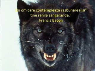 "Un om care contempleaza razbunarea isi
tine ranile sangerande."
Francis Bacon
 