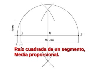 Raíz cuadrada de un segmento,Raíz cuadrada de un segmento,
Media proporcional.Media proporcional.
 