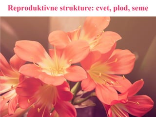Reproduktivne strukture: cvet, plod, seme
 
