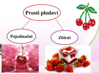 Prosti plodovi
Pojedinačni Zbirni
 