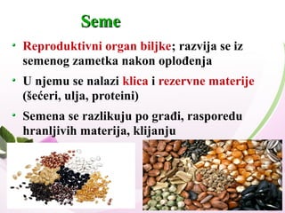 SemeSeme
Reproduktivni organ biljke; razvija se iz
semenog zametka nakon oplođenja
U njemu se nalazi klica i rezervne materije
(šećeri, ulja, proteini)
Semena se razlikuju po građi, rasporedu
hranljivih materija, klijanju
 