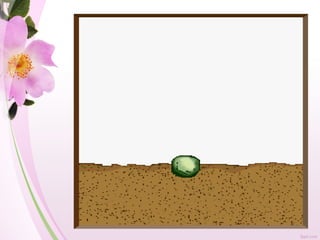 Razdeo skrivenosemenica