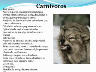 CarnívorosTêm garras. Não têm poros. Transpiram pela língua. Dentes caninos frontais alongados, fortes e pontiagudos para rasgar a carne. Ausência de dentes molares posteriores para triturar alimentos. Glândulas salivares pequenas na boca (glândulas bem desenvolvidas são necessárias na pré-digestão de cereais e frutas). Saliva ácida. Ausência de ptialina, enzima responsável pela pré-digestão dos cereais. Trato intestinal 3 vezes o tamanho do corpo, para que a carne em decomposição possa ser eliminada rapidamente. Estômago simples e arredondado. Forte concentração de ácido clorídrico no estômago, para digerir a carne. Cólon liso. Urina ácida. Mandíbula alongada para a frente. Alimento: carne. 