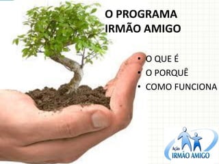O PROGRAMA IRMÃO AMIGO 
•O QUE É 
•O PORQUÊ 
•COMO FUNCIONA  