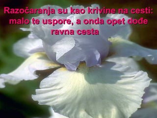 Razočaranja su kao krivine na cesti:   malo te uspore, a onda opet dođe ravna cesta  