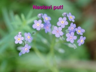 Nastavi put ! 