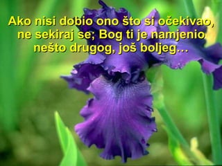 Ako nisi dobio ono što si očekivao ,  ne sekiraj se; Bog ti je namjenio nešto drugog, još boljeg … 
