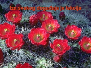 Iza svakog događaja je lekcija   