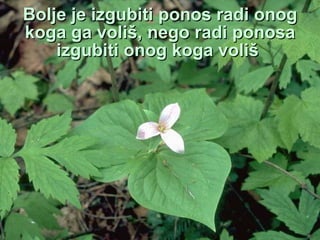 Bolje je izgubiti ponos radi onog koga ga voliš, nego radi ponosa izgubiti   onog koga voliš   