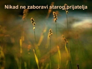 Nikad ne zaboravi starog prijatelja 