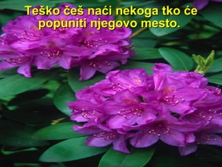 Teško češ naći nekoga tko će popuniti njegovo mesto .  