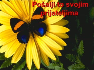 Pošalji to svojim prijateljima   